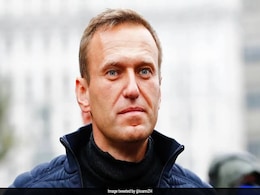 All You Need To Know About Alexei Navalny, Putin Critic Who Died In Prison All You Need To Know About Alexei Navalny, Putin Critic Who Died In Prison