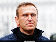 Navalny Killed With 'Dart Frog Toxin', Russia To Blame: UK, 4 Other Nations