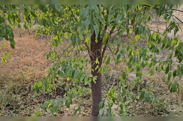 Latest and Breaking News on NDTV Latest and Breaking News on NDTV