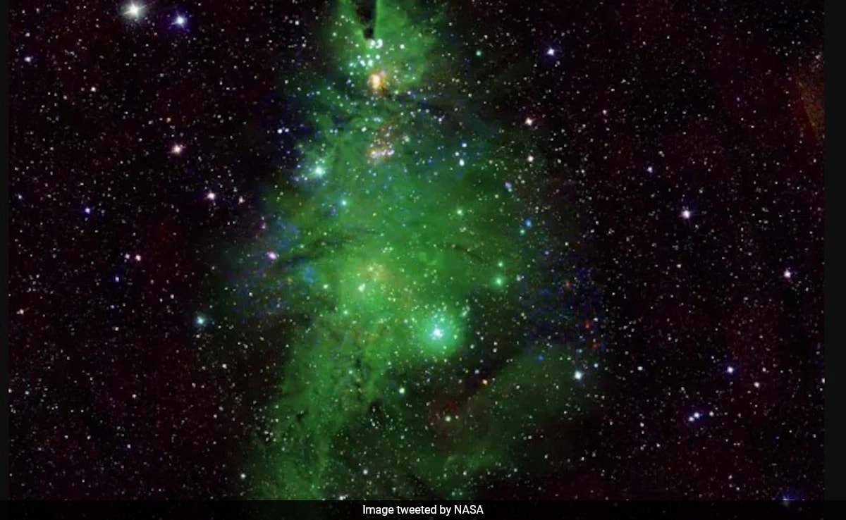 NASA's James Webb Space Telescope Captures 'Cosmic Christmas Tree' Shining In Space - Vimarsana News