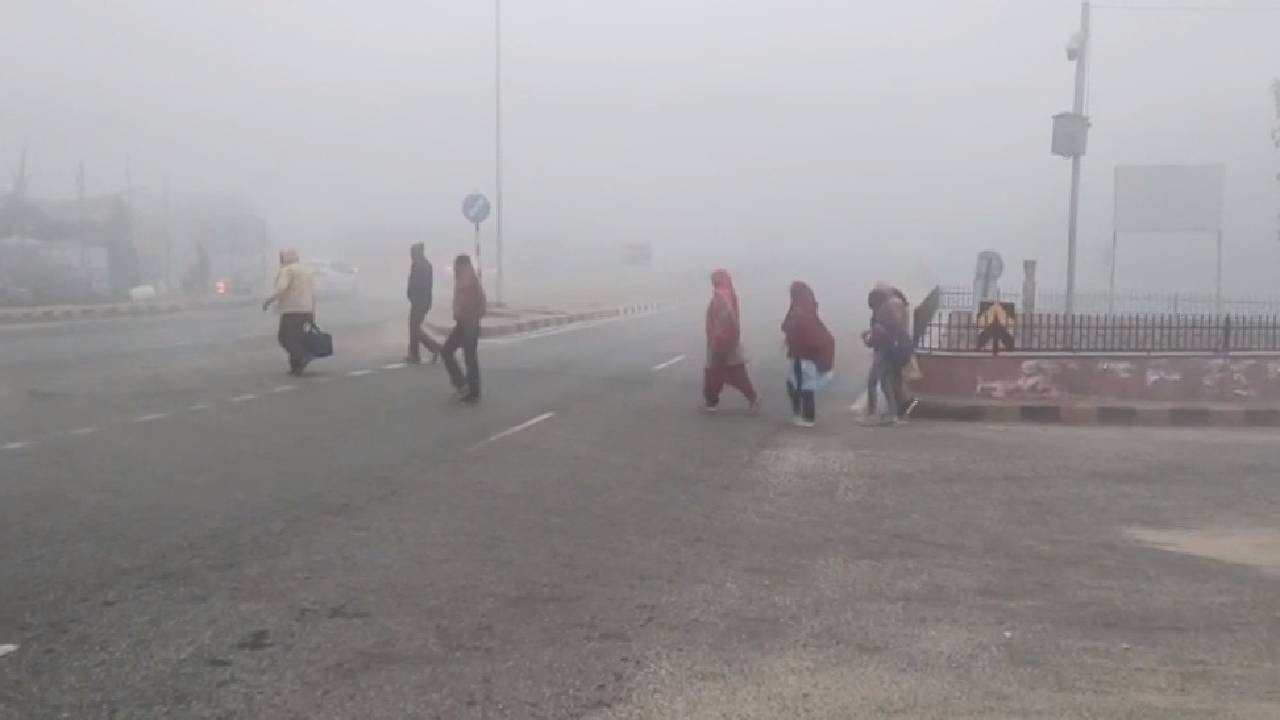 Rajasthan Weather Update : घने कोहरे की चपेट में राजस्थान, थोड़ी दूर देखना भी मुश्किल