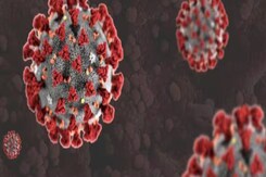 Covid-19: राजस्थान में कोरोना ने दी दस्तक, जैसलमेर में मिले दो मरीज Covid-19: राजस्थान में कोरोना ने दी दस्तक, जैसलमेर में मिले दो मरीज