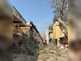 बेजुबानों पर जुल्म! बिना इजाज़त के काट दिया 150 साल पुराना पीपल पेड़...तड़प-तड़प कर मर गए 200 पक्षी&nbsp;