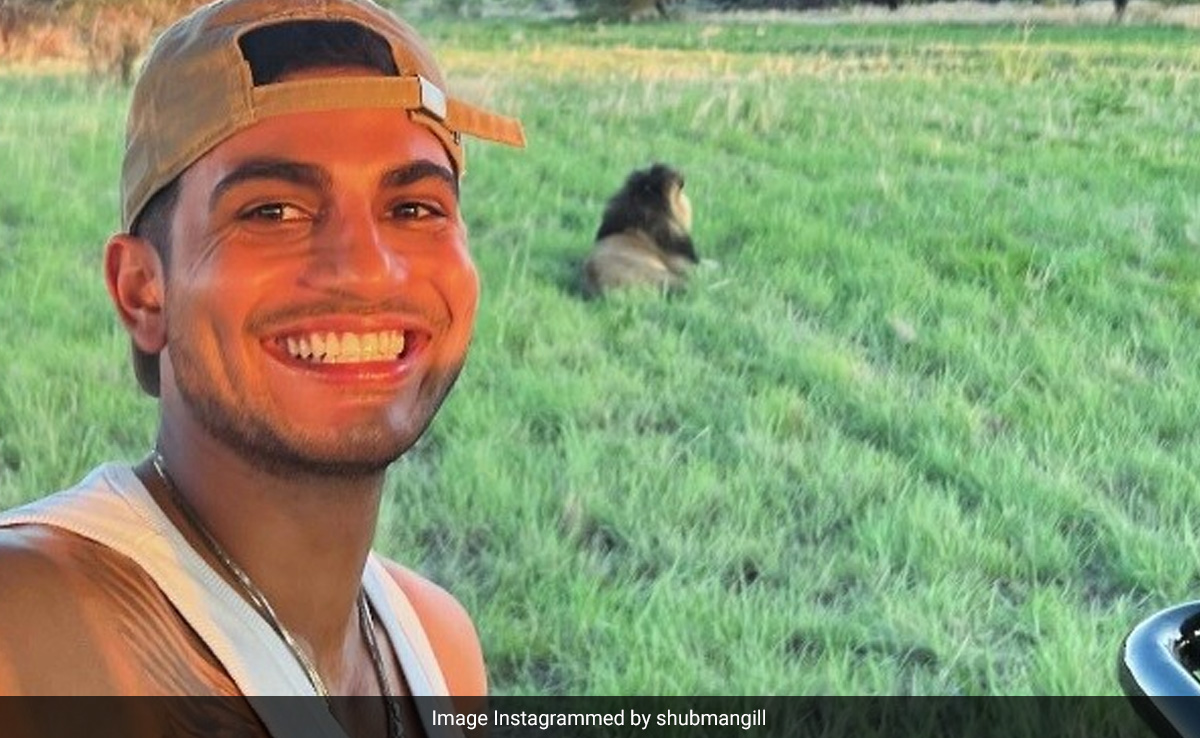 बब्बर शेर के साथ 'सेल्फी' लेकर फूले नहीं समा रहे शुभमन गिल, अफ्रीका में लिया जंगल सफारी का मजा, देखें Photos