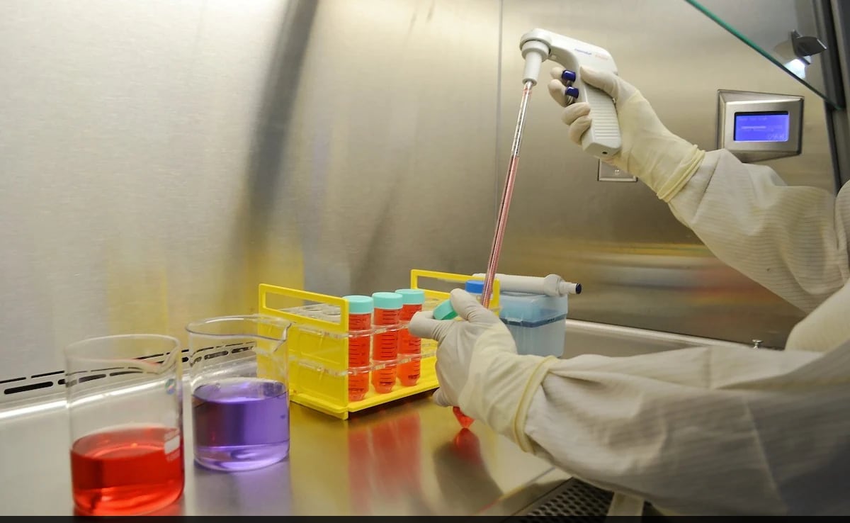 Government Department Invites Applications For Research Associateship ...