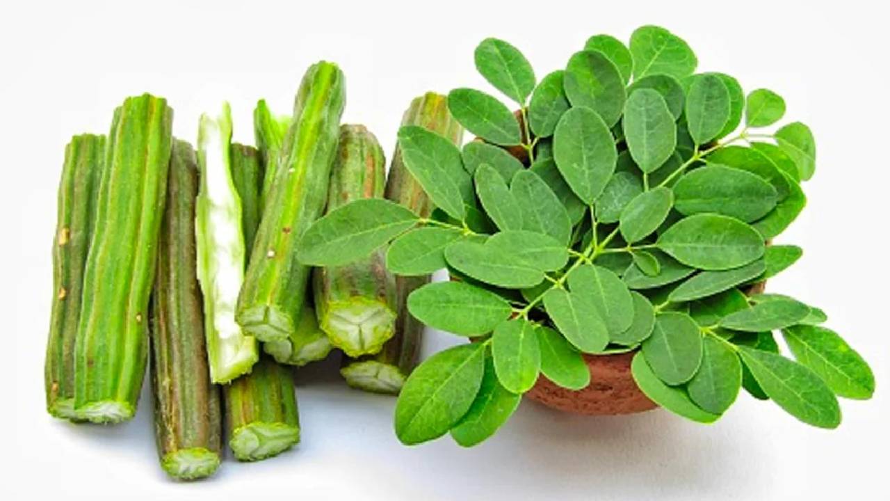 भोपाल AIIMS ने फिर किया कमाल सहजन से ब्रेस्ट कैंसर का इलाज!