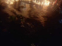 मणिपुर में पावर स्टेशन से भारी ईंधन का रिसाव, अलर्ट जारी