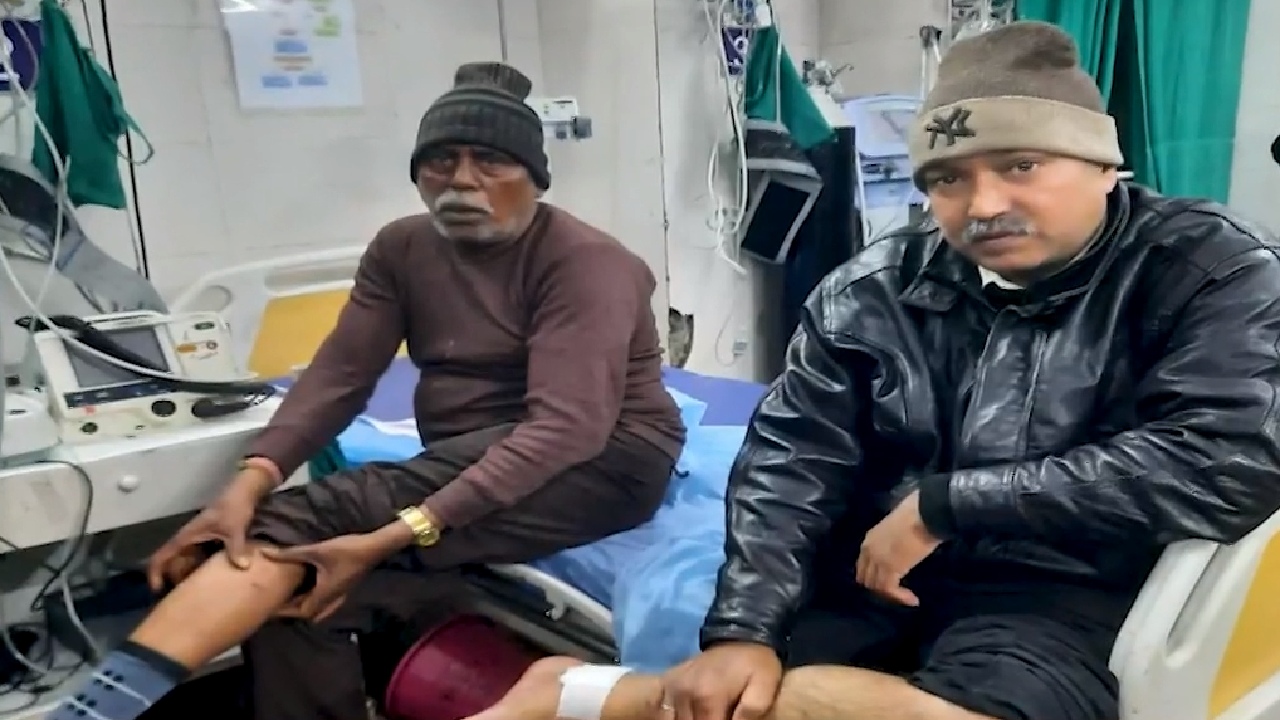 भोपाल में आवारा कुत्तों का आतंक! सिर्फ डेढ़ घंटे में 21 लोगों को काटा