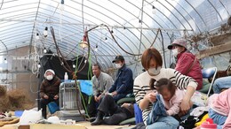 "Helpless": Japan Quake-Hit Victims Shattered As Taps Run Dry In Homes
