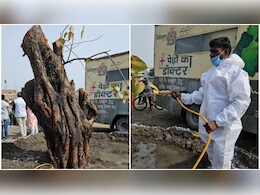 इंदौर नगर निगम ने दी प्रकृति प्रेम की मिसाल ! 35 साल पुराने पेड़ को रास्ते से हटा कर किया ट्रांसप्लांट 