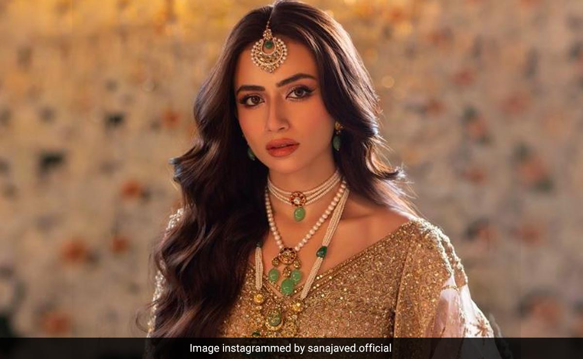 Who Is Sana Javed, Pakistan Cricketer Shoaib Malik's New Wife