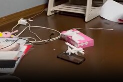 Shaking Houses, Panic In Japan's Niigata After Massive Earthquake Shaking Houses, Panic In Japan's Niigata After Massive Earthquake