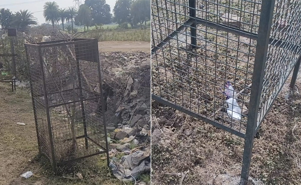 Vidisha: हरियाली महोत्सव के तहत लगाए गए हजारों पेड़ सूखे, "मंत्री जी" ने सवाल पर फेरा मुंह