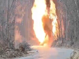 Security Forces Destroy Explosives In Jammu And Kashmir's Pulwama Security Forces Destroy Explosives In Jammu And Kashmir's Pulwama