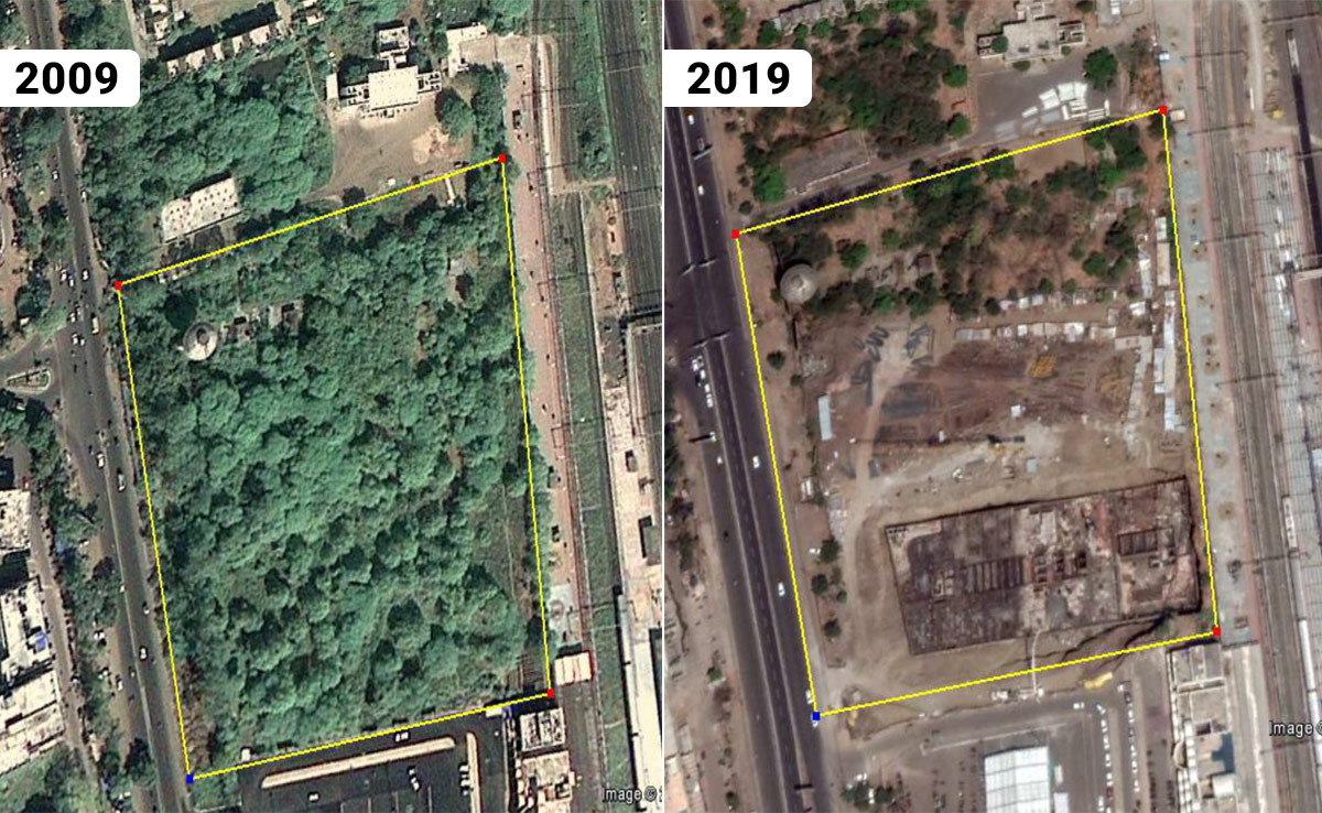 भोपाल का फेफड़ा हो गया जख्मी: 3 साल में 8000 पेड़ काटे, दूसरे लगाए नहीं