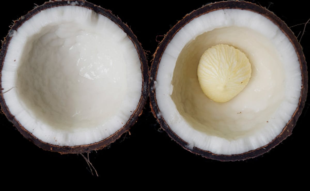 Latest and Breaking News on NDTV Latest and Breaking News on NDTV