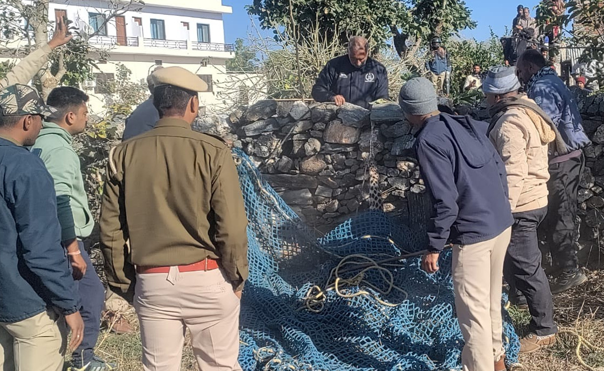 कुत्ते का शिकार कर भागते समय फंदे में फंसा तेंदुआ, 2 घंटे बाद वन विभाग ने किया ट्रैंकुलाइज