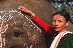 India's 1st Woman Elephant Mahout Among 34 Unsung Heroes Awarded Padma Shri India's 1st Woman Elephant Mahout Among 34 Unsung Heroes Awarded Padma Shri