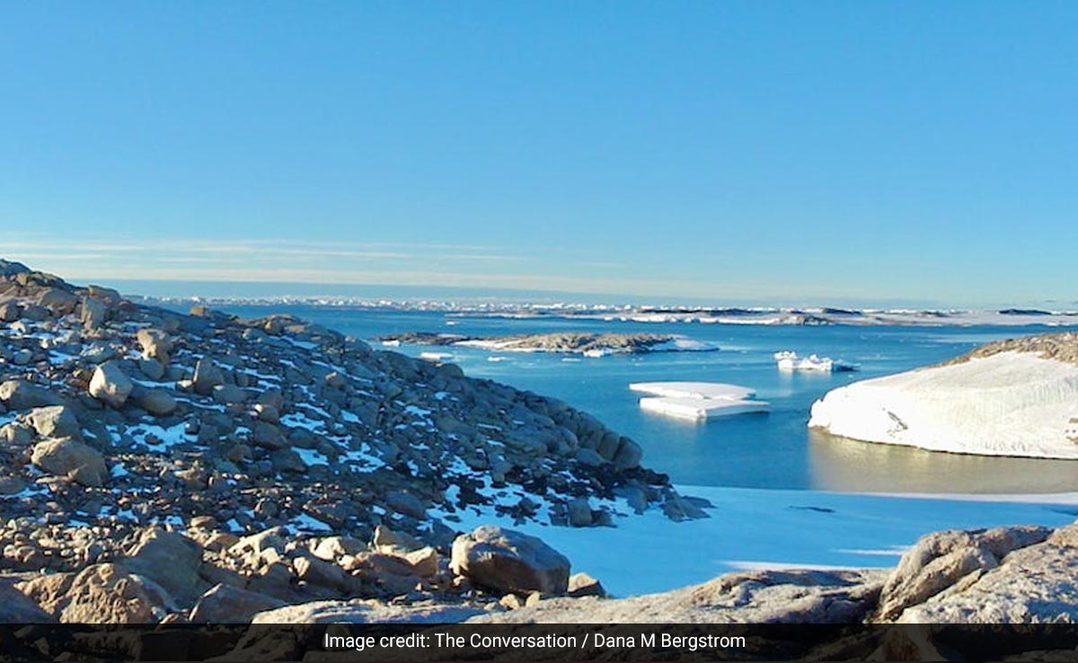 Extraordinary Heatwave In Antarctica Left Scientists Baffled. What They Found