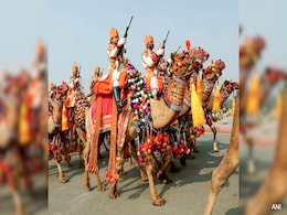 Richly Decorated Border Security Force Camels Add Dazzle To Republic Day Parade Richly Decorated Border Security Force Camels Add Dazzle To Republic Day Parade