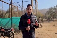 अलवर जिले में स्थित सरिस्का टाईगर रिजर्व में बाघिन की मौत, जानिए क्या थी वजह? अलवर जिले में स्थित सरिस्का टाईगर रिजर्व में बाघिन की मौत, जानिए क्या थी वजह?