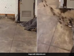 सो रहे शख्स के कंबल से निकलते दिखे दर्जनों चूहे, भयानक Video देख खड़े हो जाएंगे रोंगटे सो रहे शख्स के कंबल से निकलते दिखे दर्जनों चूहे, भयानक Video देख खड़े हो जाएंगे रोंगटे