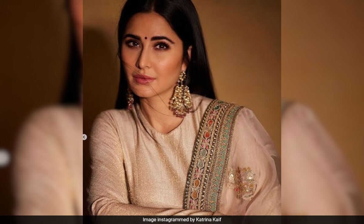 On Katrina Kaif's Wish List: "A Period Film, Negative Character"