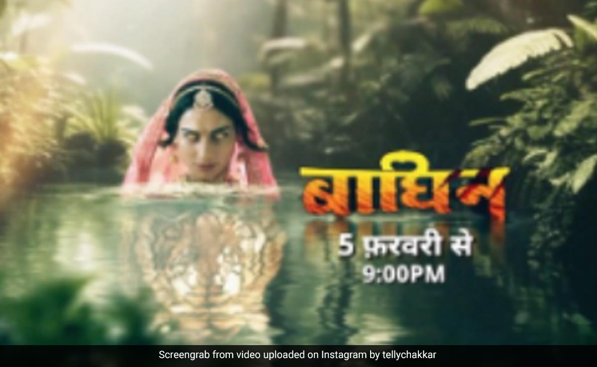 नागिन के बाद टीवी पर आएगी बाघिन, इस एक्ट्रेस को नए प्रोमो में देख लोग बोले- नागिन तो नहीं लेकिन...