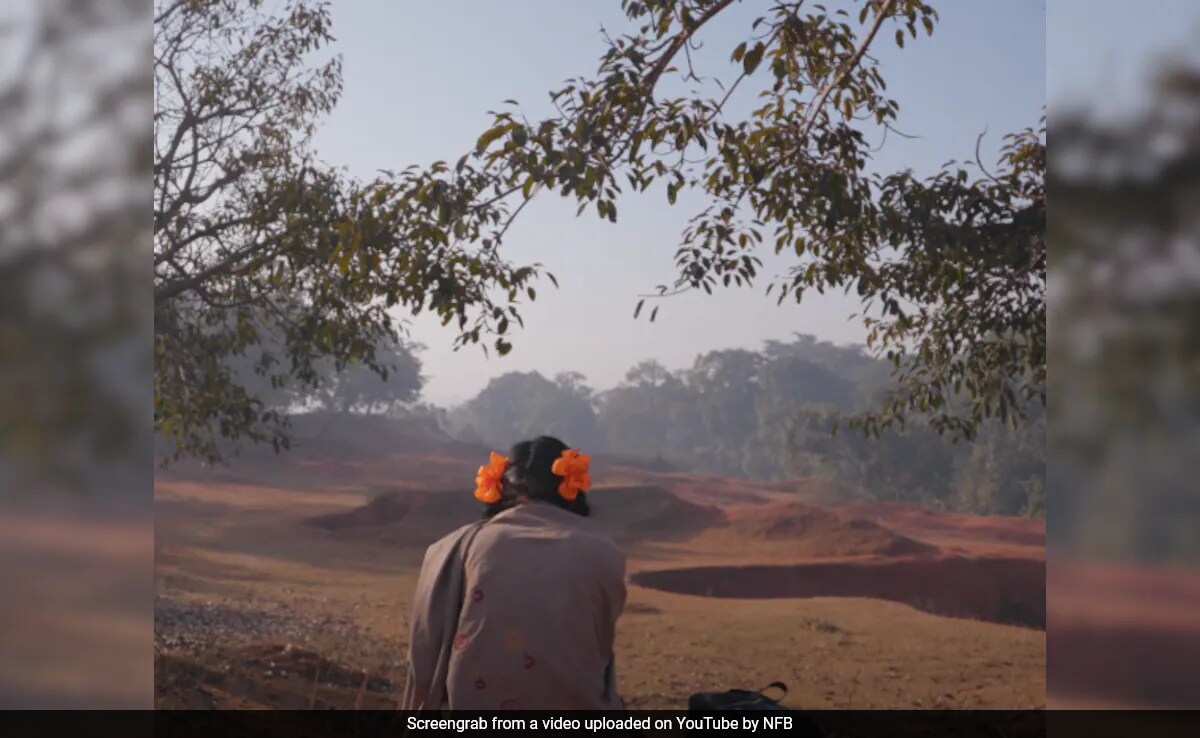 Oscars 2024: India-Set <i>To Kill A Tiger</i> Nominated For Best Documentary Feature