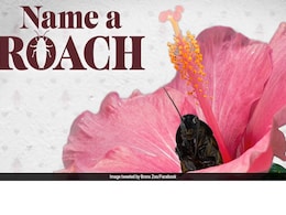 This US Zoo Will Let You Name A Cockroach After Your Ex For Valentine's Day This US Zoo Will Let You Name A Cockroach After Your Ex For Valentine's Day