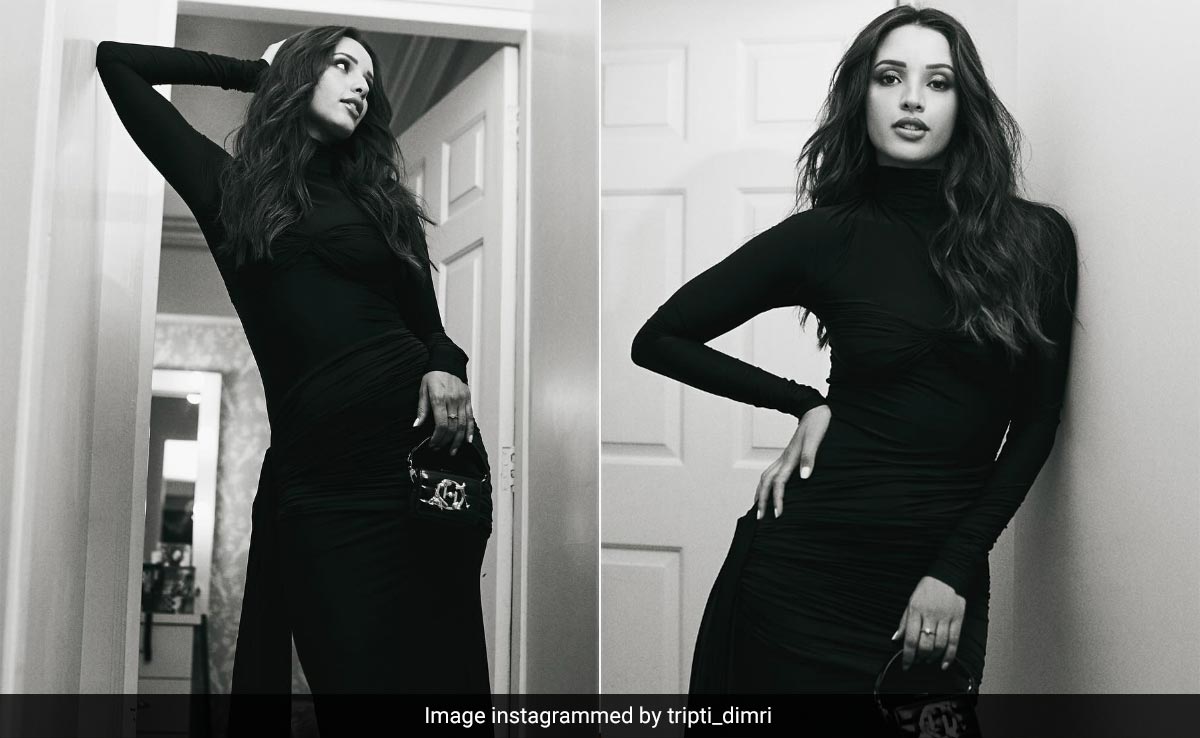 Tripti Dimri's Black Gown Is A Perfect Example Of Sassy Yet Classy