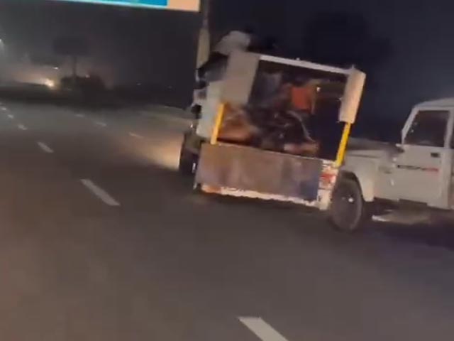 Dramatic High-Speed Chase For Cattle Thieves On Expressway In Gurgaon