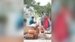Makar Sankranti 2024: Date, Rituals, Bank Holidays - A Primer On Harvest Festival