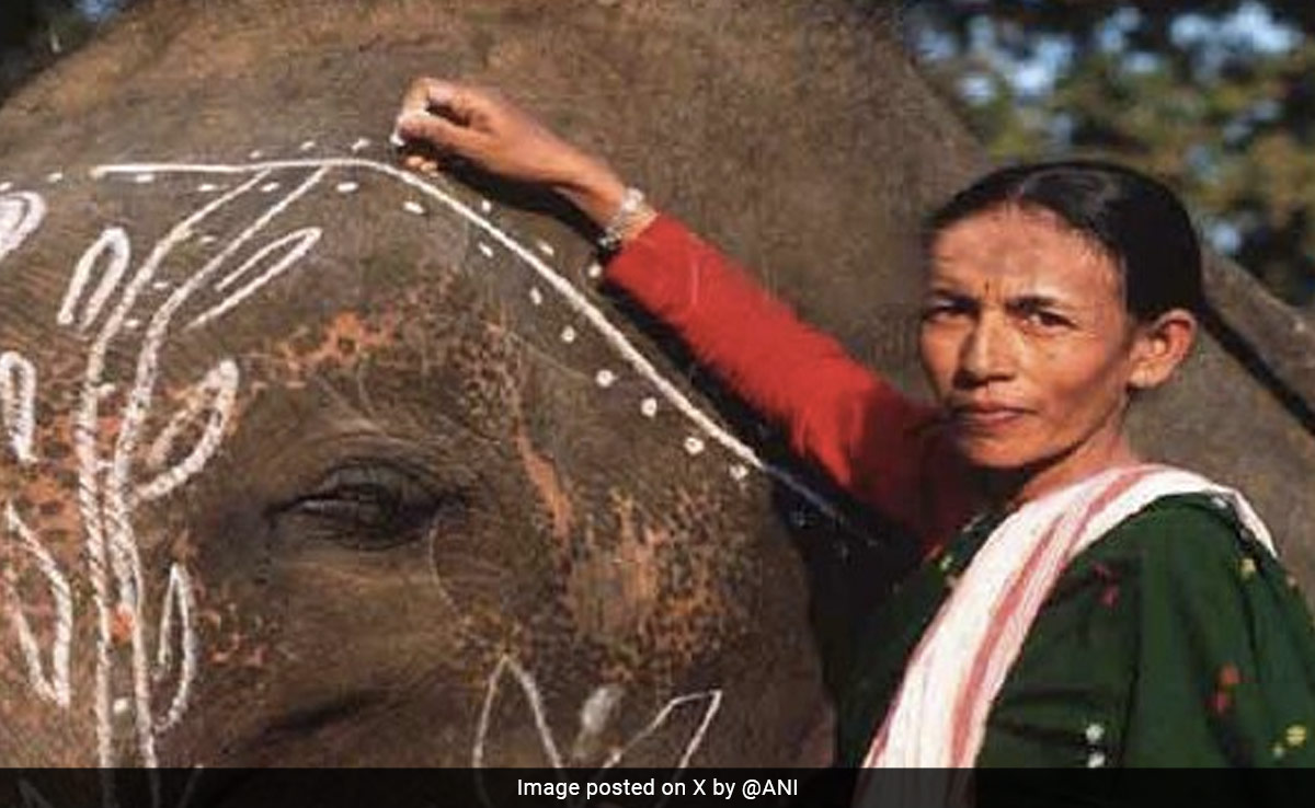 देश की पहली महिला महावत पार्वती बरुआ समेत 34 गुमनाम हस्तियों को 'पद्मश्री' सम्मान, देखें पूरी लिस्ट