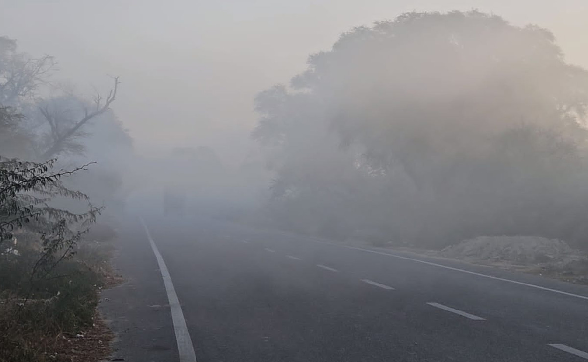 MP Weather: मध्य प्रदेश में ठंड और घने कोहरे का सितम, जानिए- कब से मिलेगी  सर्दी से राहत | Madhya Pradesh Weather Report Cold and dense fog in Madhya  Pradesh, know when