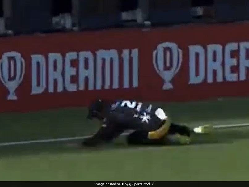 Watch: Greatest Catch Ever Taken? New Zealand Cricketers' Effort Has Social Media Stunned