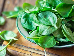 पालक खाने में आप भी तो नहीं करते ये गलतियां, यहां जानें पालक खाने का सही तरीका... पालक खाने में आप भी तो नहीं करते ये गलतियां, यहां जानें पालक खाने का सही तरीका...