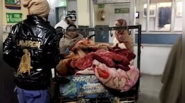 Woman Gives Birth On Vegetable Cart, Outside Haryana Hospital, In Bitter Cold