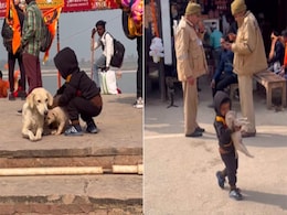 अयोध्या में सरयू नदी के किनारे पिल्ले के साथ खेल रहा था छोटा बच्चा, वायरल Video ने लोगों का मन मोह लिया अयोध्या में सरयू नदी के किनारे पिल्ले के साथ खेल रहा था छोटा बच्चा, वायरल Video ने लोगों का मन मोह लिया