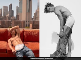 Jeremy Allen White In Calvin Klein's Iconic Briefs Cooks Up A Storm On The Internet Jeremy Allen White In Calvin Klein's Iconic Briefs Cooks Up A Storm On The Internet