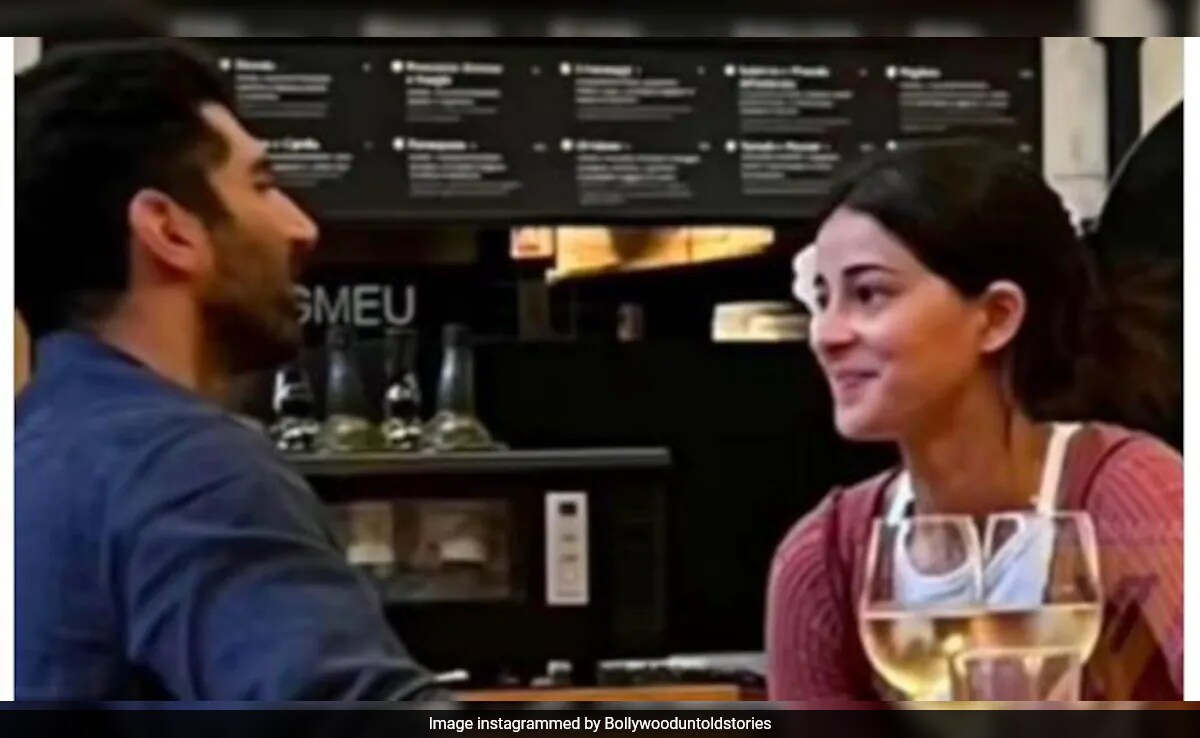 Ananya Panday On Viral Vacation Pics With Aditya Roy Kapur:  "We Signed Up For It"