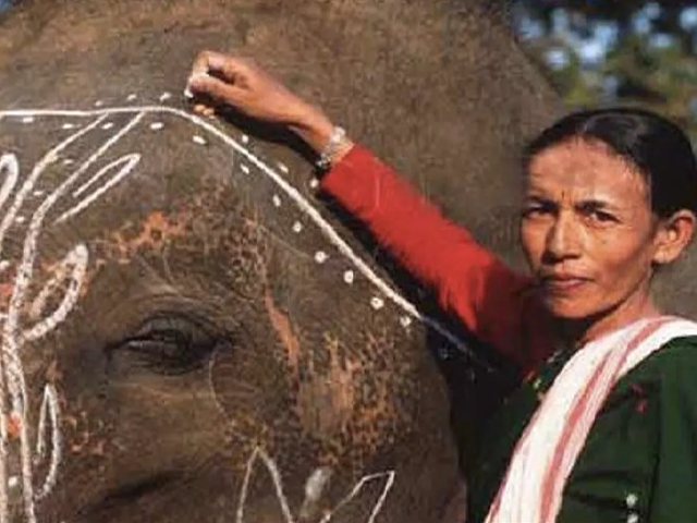 इन गौरवशाली लोगों को मिलेगा पद्म पुरस्कार, जानिए क्या किया है काम
