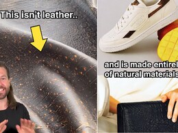 Watch: Mango Skin's Journey From Trash To Leather Goes Viral