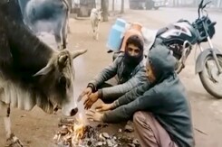 एमपी में ठंड से राहत नहीं  मौसम विभाग ने जारी किया अलर्ट एमपी में ठंड से राहत नहीं  मौसम विभाग ने जारी किया अलर्ट