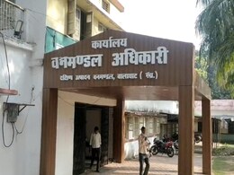 Balaghat: पिछले तीन साल से नहीं मिला बांस कटाई का बोनस, मजदूरों ने दी काम बंद करने की चेतावनी Balaghat: पिछले तीन साल से नहीं मिला बांस कटाई का बोनस, मजदूरों ने दी काम बंद करने की चेतावनी