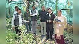 अब राजस्थान में भी दिखेंगे चंदन के पेड़, आफ़री के नवाचार से किसानों में जगी उम्मीद