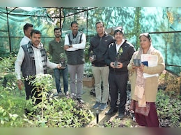 अब राजस्थान में भी दिखेंगे चंदन के पेड़, आफ़री के नवाचार से किसानों में जगी उम्मीद अब राजस्थान में भी दिखेंगे चंदन के पेड़, आफ़री के नवाचार से किसानों में जगी उम्मीद
