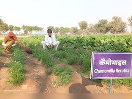 बर्फ में पैदा होने वाली सब्जियां अब रेगिस्तान में भी मिलेंगी, जानिए क्या है 'कृषि का ATM' तकनीक? बर्फ में पैदा होने वाली सब्जियां अब रेगिस्तान में भी मिलेंगी, जानिए क्या है 'कृषि का ATM' तकनीक?
