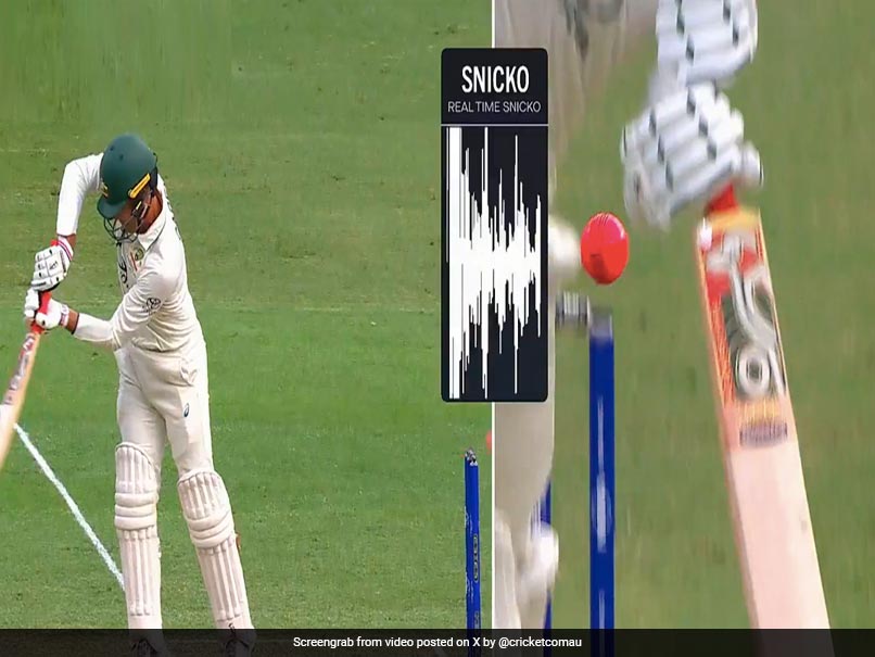 Watch: Alex Carey's Lucky Escape As Bail Remains Intact Despite Ball Brushing It