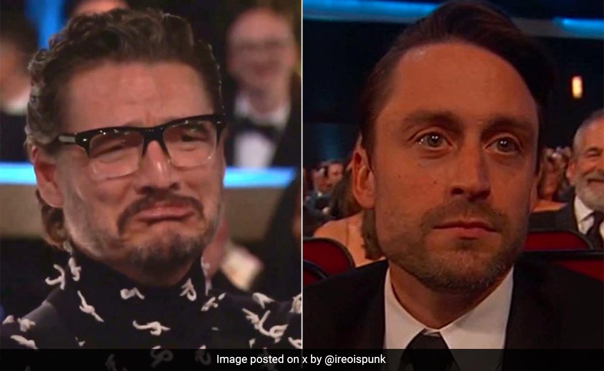 It's Pedro Pascal-Kieran Culkin's World And We're Just Living In It